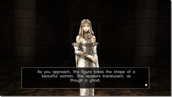 wizardry labyrinth of lost souls pc