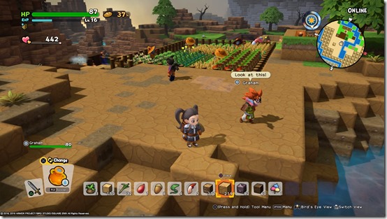 DRAGON QUEST BUILDERS 2_20190706114829