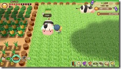 SoSFoMT_in development_2