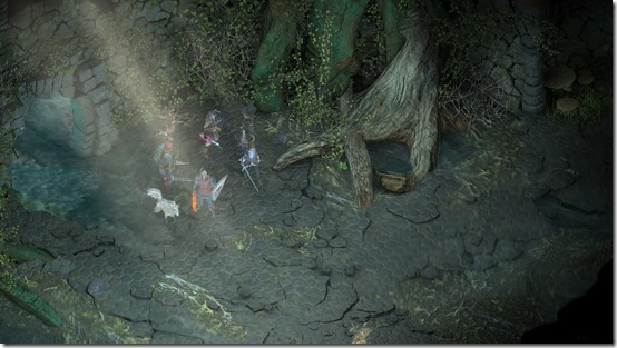 Switch_PillarsofEternity-Complete_03