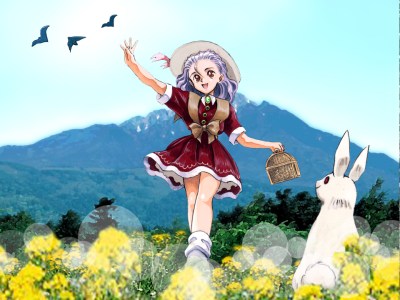 princess maker switch