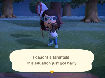 animal crossing new horizons tarantula scorpion