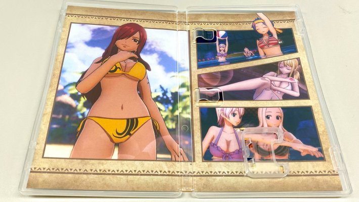 fairy tail game cover fairy tail swimsuits