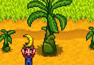 stardew valley banana tree stardew valley bananas
