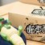 Manas SUM Lazy Family