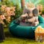 Manas SUM Lazy Family