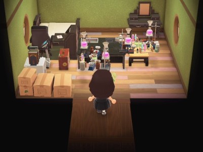 animal crossing duplication glitch