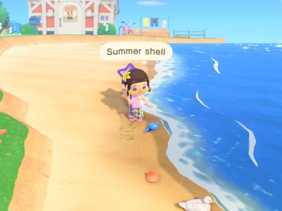 animal crossing new horizons summer shell