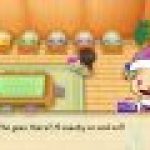 Story of Seasons Friends of Mineral Town Review Story of Season Switch Review