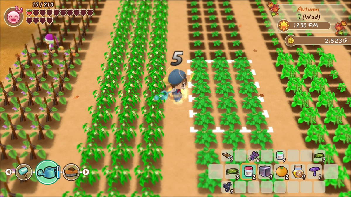 friends of mineral town farming games