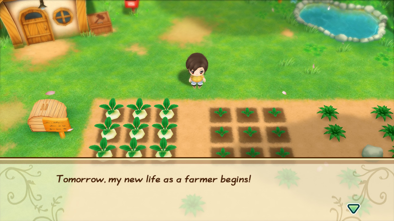 story of seasons switch review