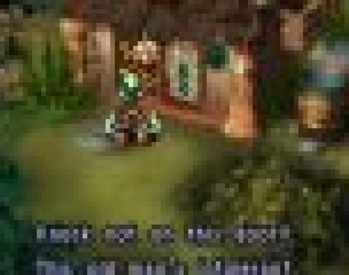 Westernism intolerance