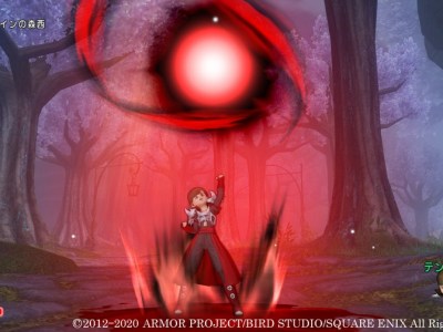 Dragon Quest X Demon Knight Job