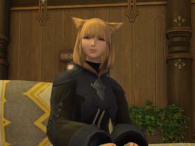 Final Fantasy XIV Dad of Light Maidy