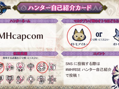 Monster Hunter Rise Introduction Cards