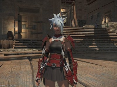 Final Fantasy XI and XIV