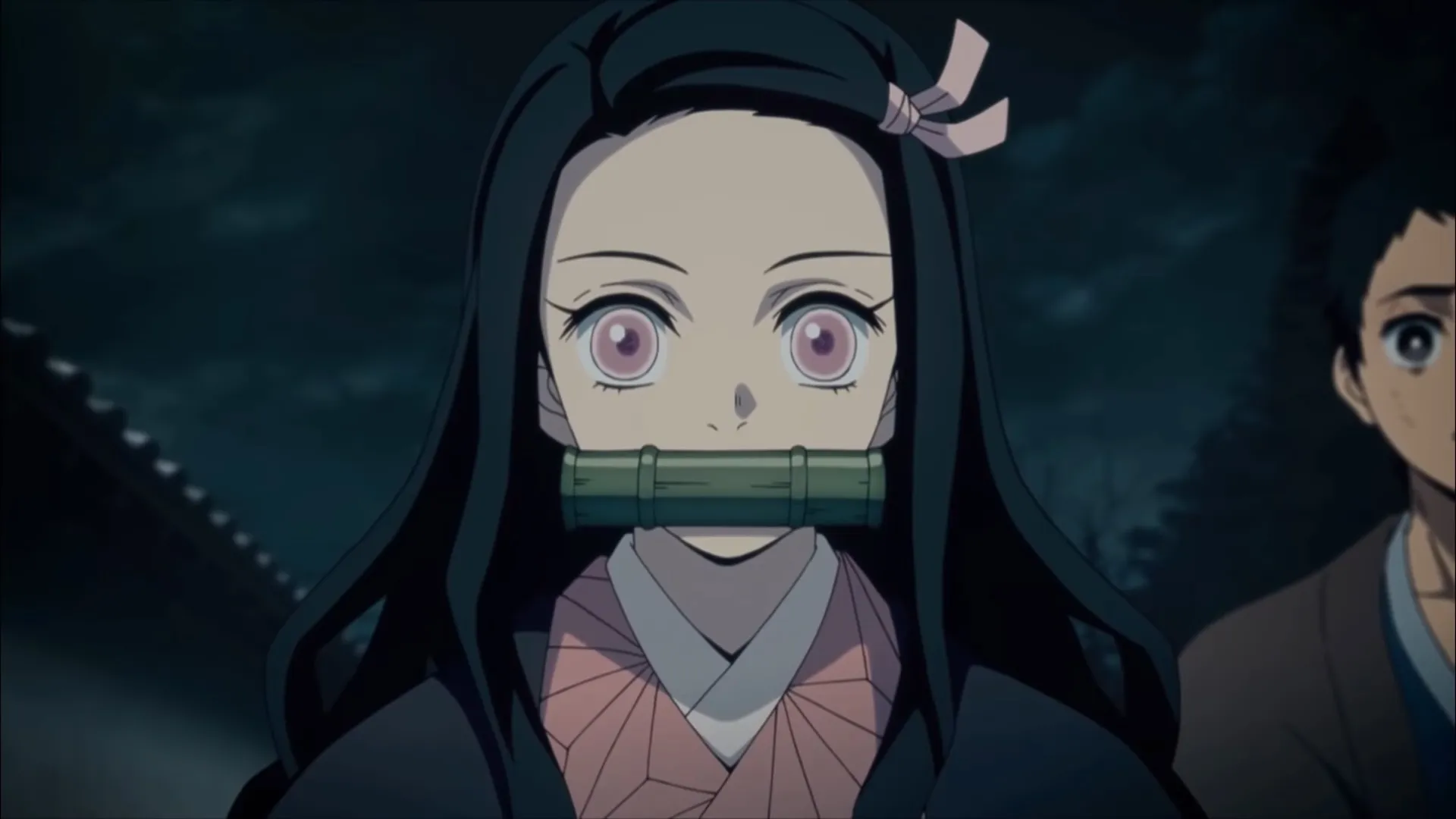 Demon Slayer's Nezuko Is a Great Reason to Follow the Series