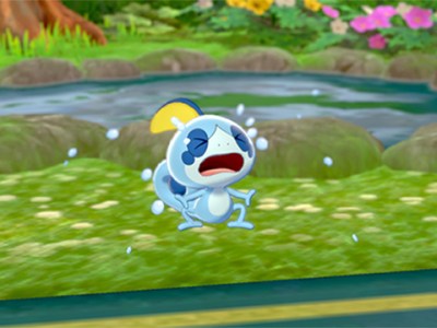 Pokemon Sword & Shield Sobble