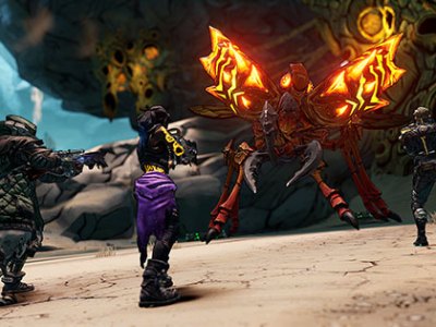 borderlands 3 director's cut