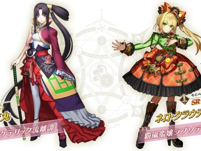 Fate Grand Order Spiritron Dresses