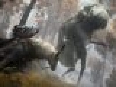 Elden Ring PS5 Xbox Series X elden ring areas elden ring dungeons