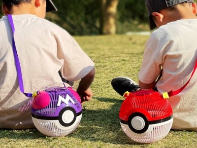 Pokemon Master Ball Insect Cage