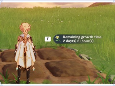 Genshin Impact gardening