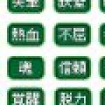 SRW Spirit Command badges