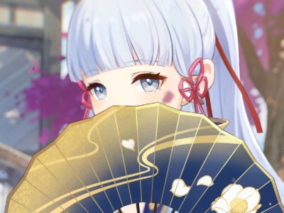 Genshin Impact Kamisato Ayaka