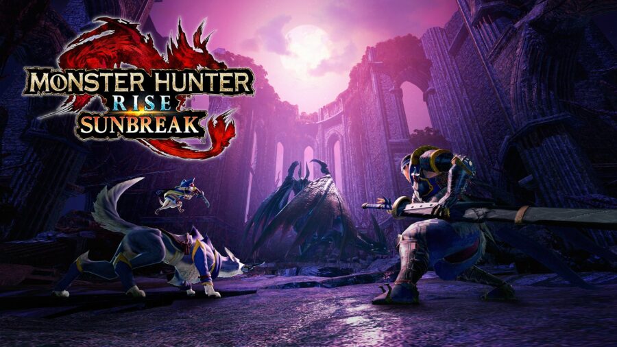 Monster Hunter Rise Sunbreak Item Pack
