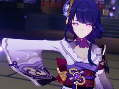 Genshin Impact Raiden Shogun Build