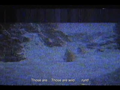 Pokemon Legends: Arceus Trailer Features Pokemon Found Footage