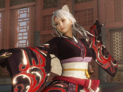 Dynasty Warriors 9 Empires DLC custom character set