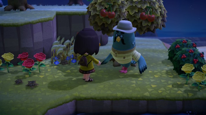 How to Find Brewster in Animal Crossing: New Horizons ACNH