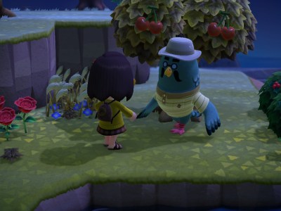How to Find Brewster in Animal Crossing: New Horizons ACNH