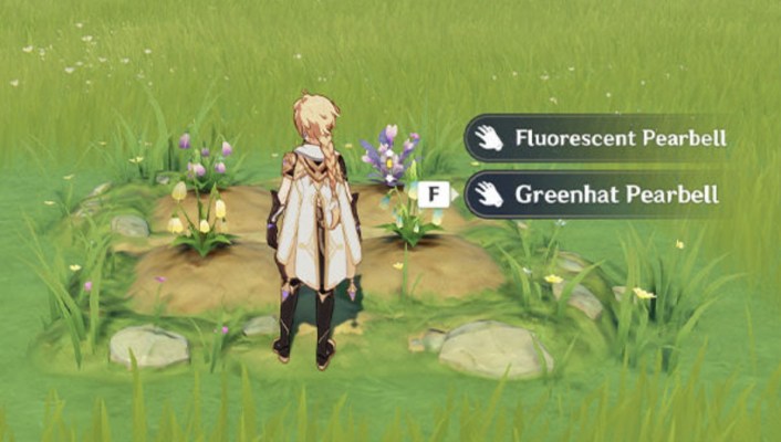 Genshin Impact Dreams of Bloom Event Involves Growing Flowers in the Serenitea Pot