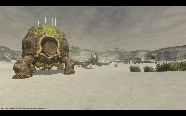 More FFXI Zones Showcased in New Virtual Backgrounds