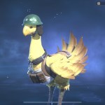 look at this chocobo