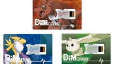 Digimon Tamers DIM cards