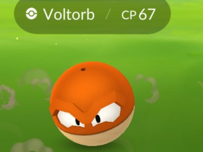 Hisuian Voltorb Pokemon GO