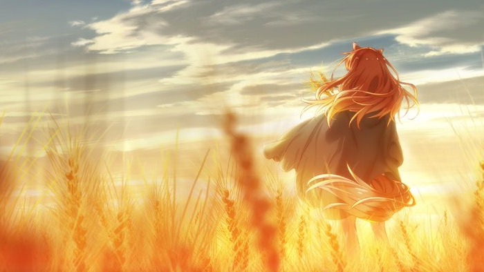 Spice & Wolf New Anime