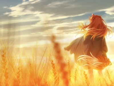 Spice & Wolf New Anime