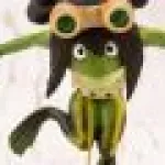 Froppy Frog