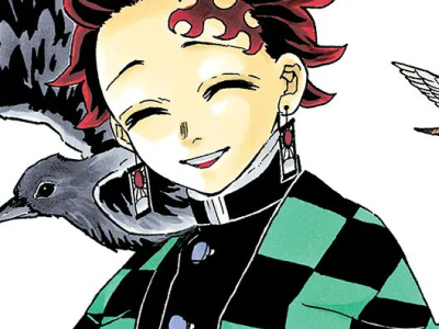 Demon Slayer Kimetsu no Yaiba The Art of Demon Slayer