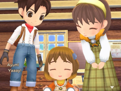Story of Seasons Wonderful Life Switch
