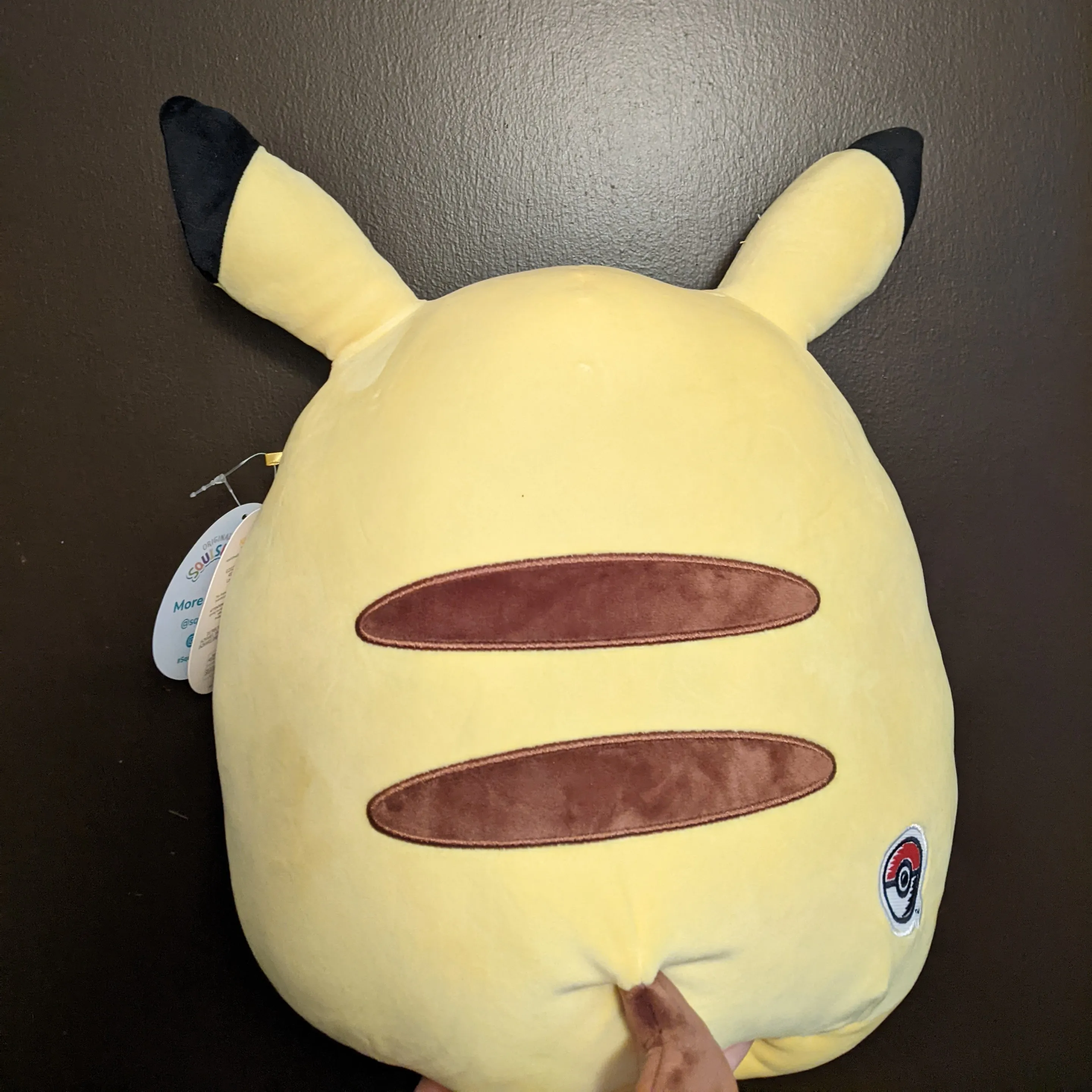 Here Is Every POKÉMON Squishmallow Released So Far