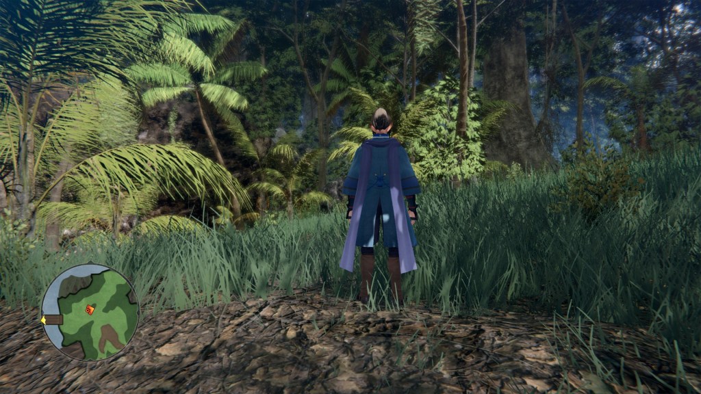 Monochrome Mobius screenshot of Oshtro standing in a field area looking at a thick forest.