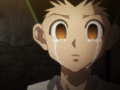 hunter x hunter hiatus