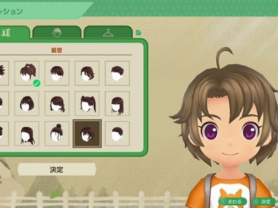 story of seasons a wonderful life