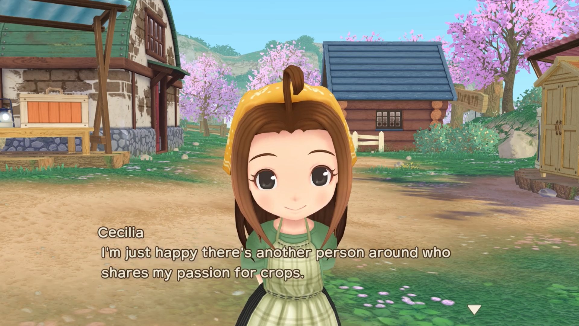 Wonderful life на русском. Story of Seasons: a wonderful Life геймплей. Summer story игра. Harvest Moon.